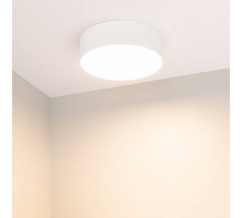 Накладной светильник Arlight RONDO 022228(2)