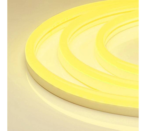 Шнур световой Arlight NEON-2-SIDE-24V Blue 30870