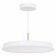 Подвесной светильник Arlight ELEGANT 033924(1)