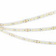 Лента светодиодная Arlight ULTRA 036314