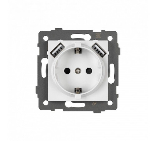 Розетка с заземлением и 2хUSB type A, без рамки Arlight SCT 049818