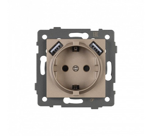 Розетка с заземлением и 2хUSB type A, без рамки Arlight SCT 049821