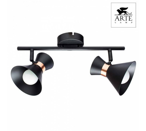 Спот Arte Lamp Baltimore A1406AP-2BK