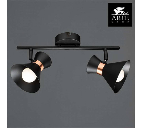 Спот Arte Lamp Baltimore A1406AP-2BK