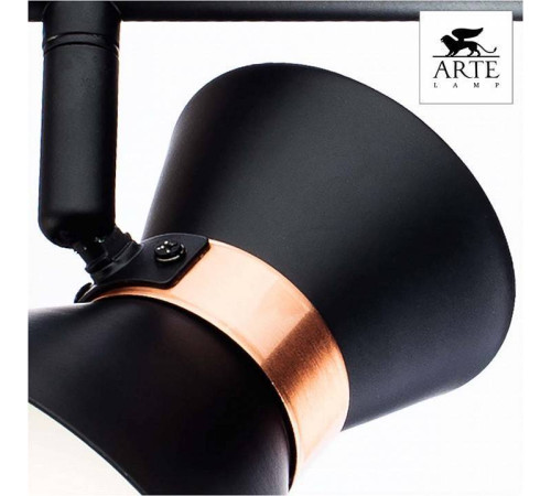 Спот Arte Lamp Baltimore A1406AP-2BK