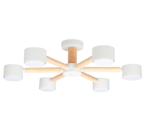 Потолочная люстра Arte Lamp TENDA A1624PL-6WH