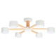 Потолочная люстра Arte Lamp TENDA A1624PL-6WH