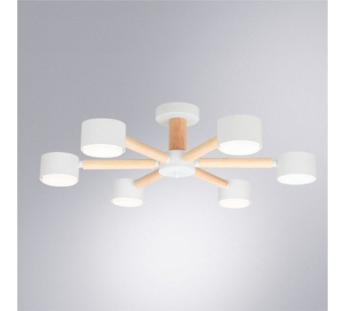 Потолочная люстра Arte Lamp TENDA A1624PL-6WH