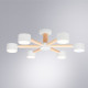 Потолочная люстра Arte Lamp TENDA A1624PL-6WH