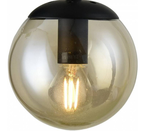 Бра Arte Lamp Bolla A1664AP-1BK