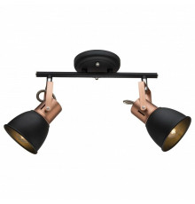 Спот Arte Lamp Jovi 2 лампы черный A1677PL-2BK