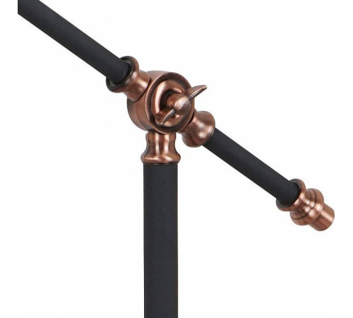 Настольная лампа офисная Arte Lamp Braccio A2054LT-1BK