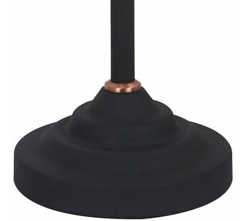 Настольная лампа офисная Arte Lamp Braccio A2054LT-1BK