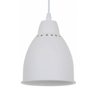 Подвесной светильник Arte Lamp Braccio A2054SP-1WH
