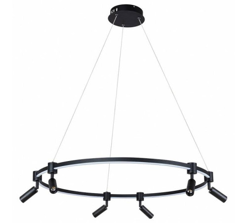 Подвесной светильник Arte Lamp Ring A2186SP-1BK