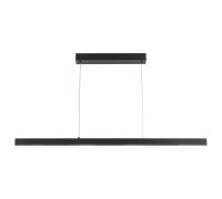 Подвесной светильник Arte Lamp Lao A2190SP-1BK