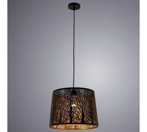 Подвесной светильник Arte Lamp Celesta A2769SP-1BK