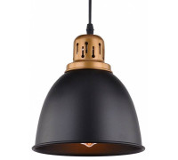 Подвесной светильник Arte Lamp Eurica A4245SP-1BK