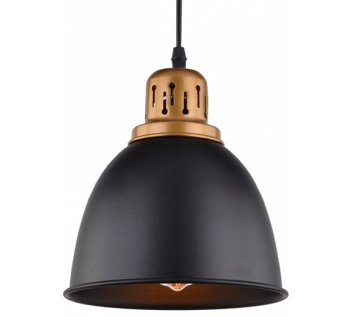 Подвесной светильник Arte Lamp Eurica A4245SP-1BK