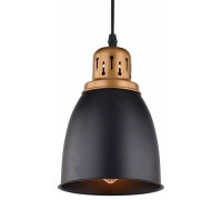 Подвесной светильник Arte Lamp Eurica A4248SP-1BK