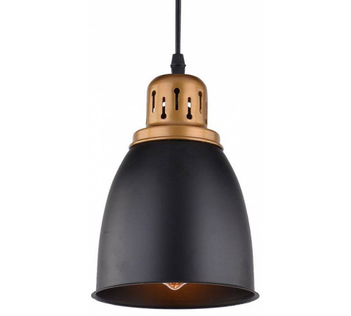 Подвесной светильник Arte Lamp Eurica A4248SP-1BK