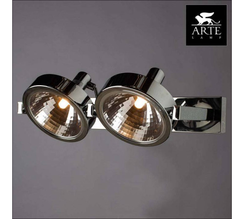 Светильник на штанге Arte Lamp Faccia A4507PL-2CC