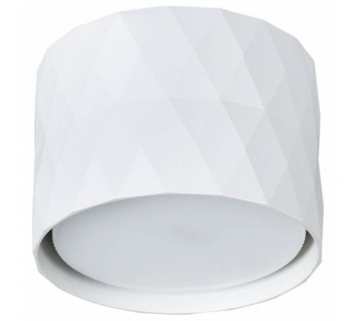 Накладной светильник Arte Lamp Fang A5552PL-1WH