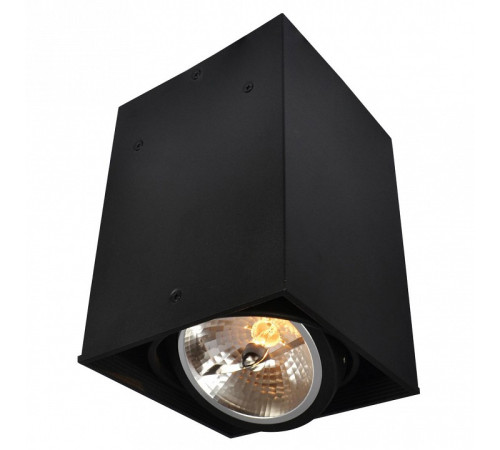 Накладной светильник Arte Lamp Cardani A5936PL-1BK