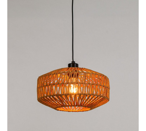Подвесной светильник Arte Lamp BRUSHWOOD A7087SP-1BK