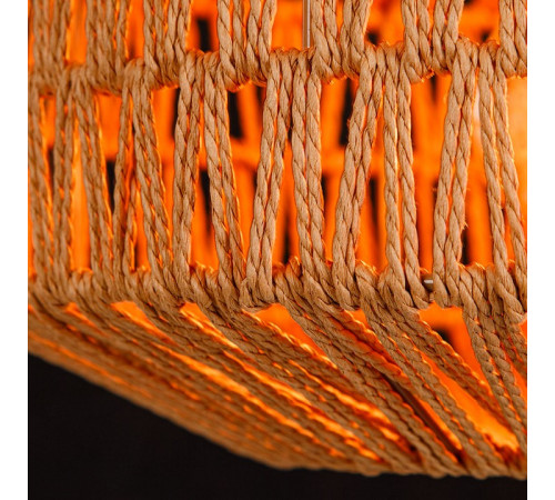 Подвесной светильник Arte Lamp BRUSHWOOD A7087SP-1BK