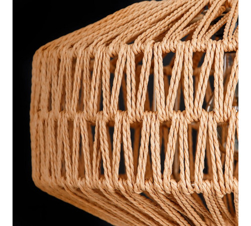 Подвесной светильник Arte Lamp BRUSHWOOD A7087SP-1BK