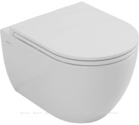 Унитаз подвесной Allen Brau Priority Tornado без сиденья 490x360 мм белый 4.31009.20