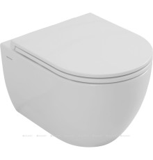 Унитаз подвесной Allen Brau Priority Tornado без сиденья 490x360 мм белый 4.31009.20