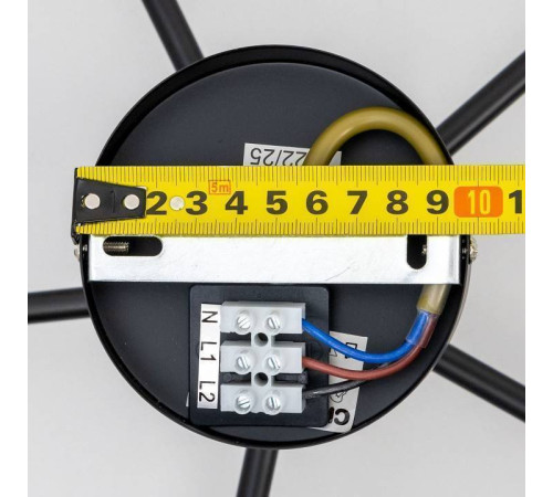 Люстра на штанге Citilux Стивен CL141251