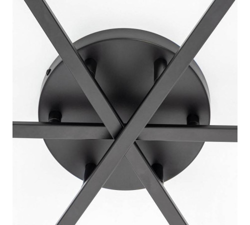 Потолочная люстра Citilux Glob CL209291