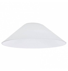 Плафон стеклянный Citilux Эдисон CL450.12