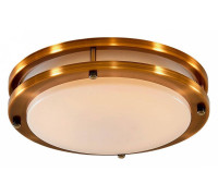 Светильник потолочный Citilux Бостон 20 Вт LED IP44 CL709203N