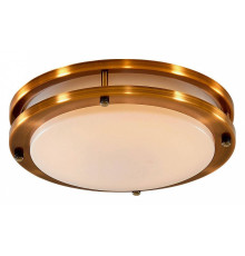 Светильник потолочный Citilux Бостон 20 Вт LED IP44 CL709203N