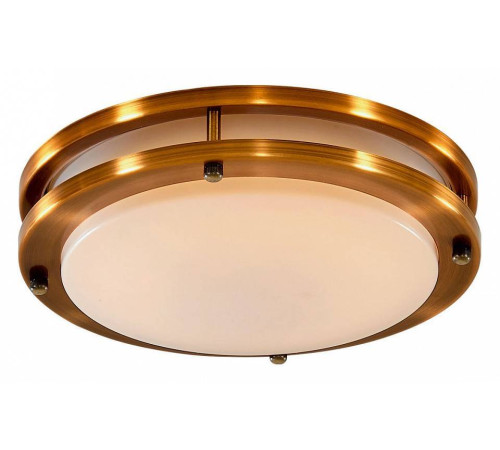 Светильник потолочный Citilux Бостон 20 Вт LED IP44 CL709203N