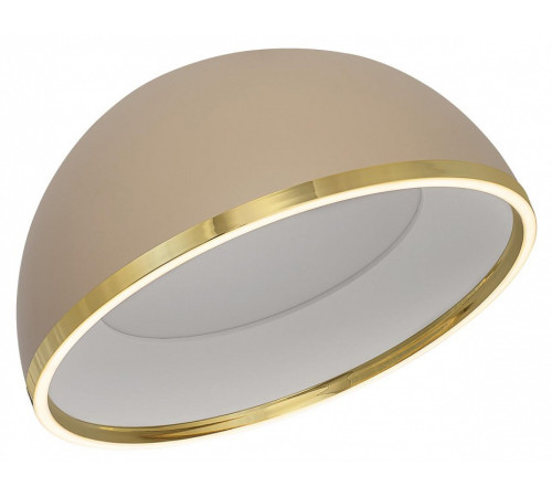 Накладной светильник Citilux FLOOM CL736152