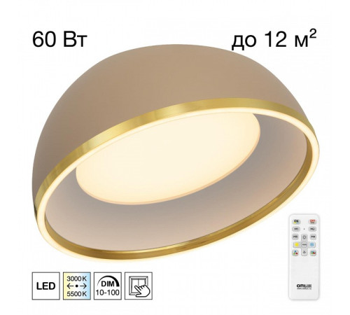 Накладной светильник Citilux FLOOM CL736152