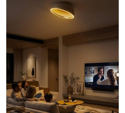 Накладной светильник Citilux FLOOM CL736152