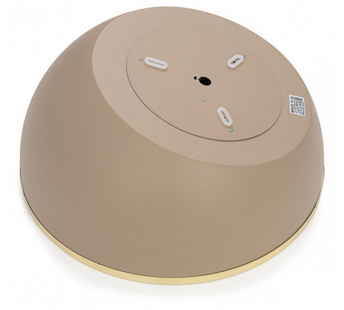Накладной светильник Citilux FLOOM CL736152