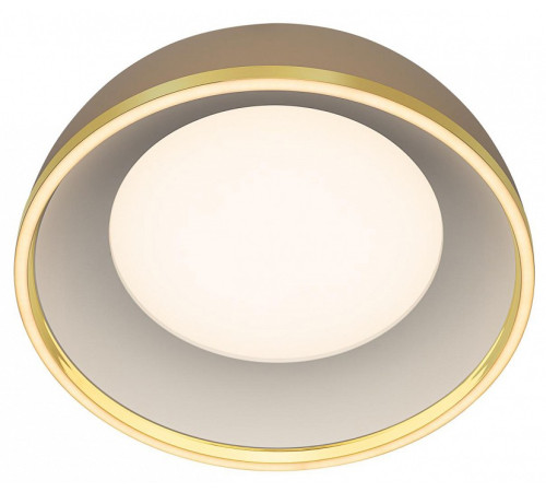 Накладной светильник Citilux FLOOM CL736152
