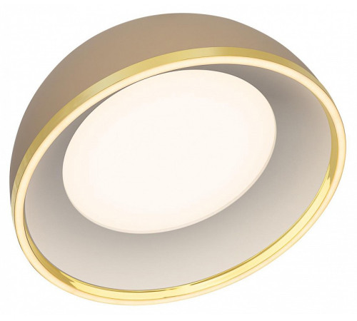 Накладной светильник Citilux FLOOM CL736152