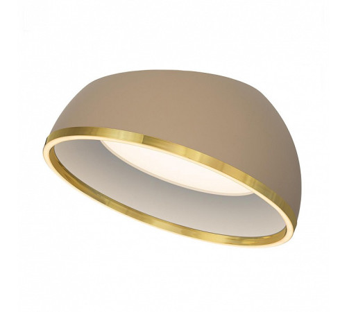 Накладной светильник Citilux FLOOM CL736152