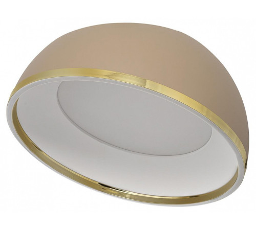 Накладной светильник Citilux FLOOM CL736152