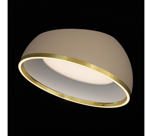 Накладной светильник Citilux FLOOM CL736152