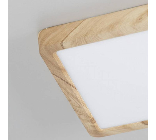 Накладной светильник Citilux Бейсик CL738K182V