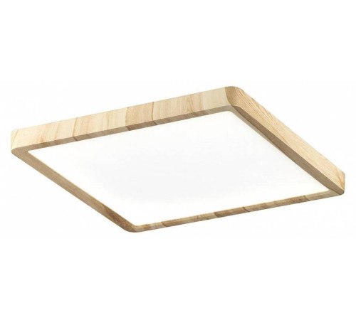 Накладной светильник Citilux Бейсик CL738K242V